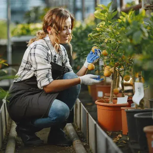 Natalia Luz Técnica en Jardinería y robótica