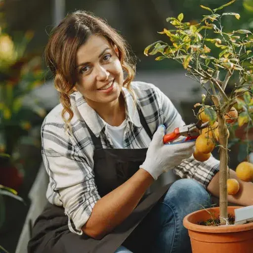 Natalia Luz de Indigo Jardines